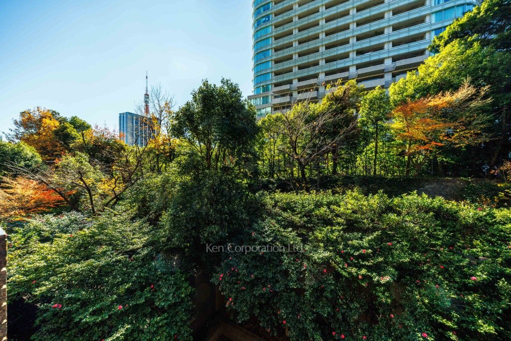 城山トラストコートの写真 眺望（居室から）