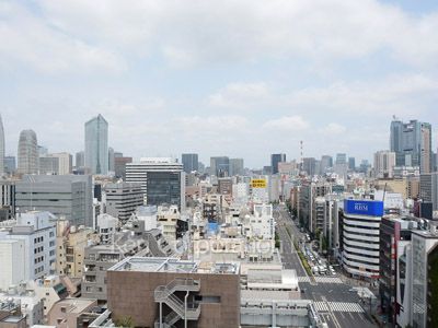 芝大門ハイツの写真 眺望（居室から）