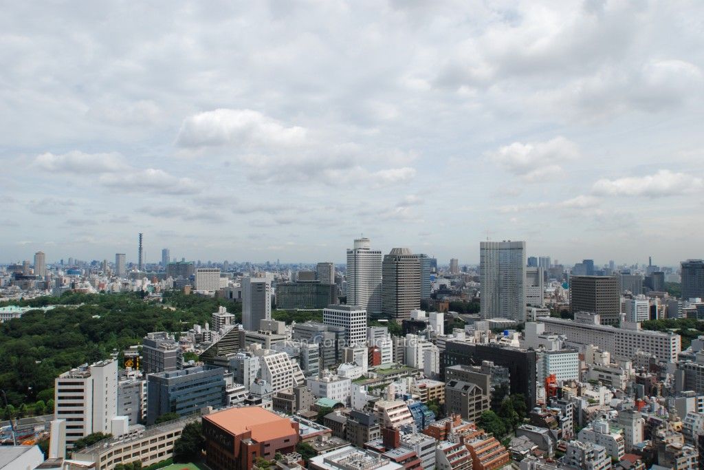 グリーンパーク赤坂の写真 眺望