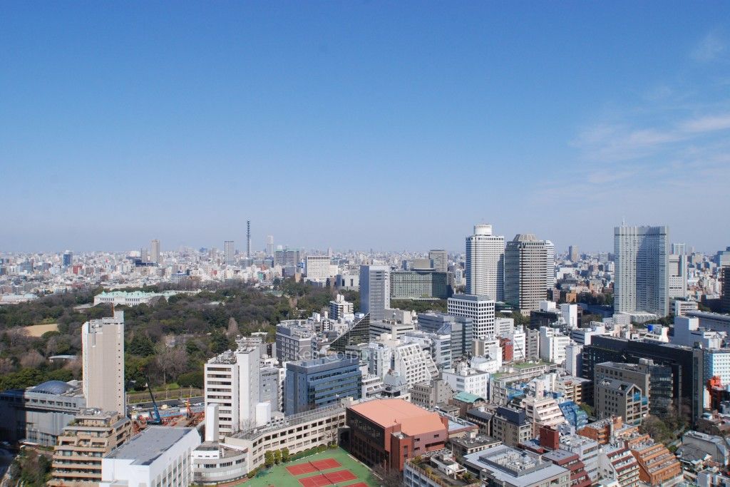 グリーンパーク赤坂の写真 眺望