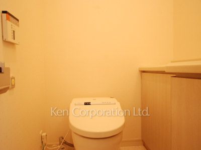 グリーンパーク赤坂の写真 トイレ