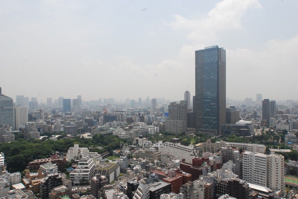 グリーンパーク赤坂の写真 眺望