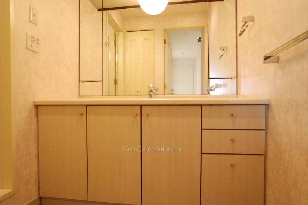 グリーンパーク赤坂の写真 パウダールーム