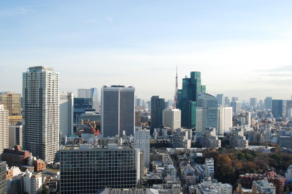 グリーンパーク赤坂の写真 眺望