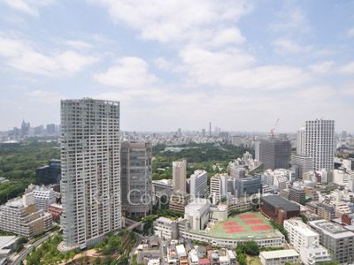 グリーンパーク赤坂の写真 眺望