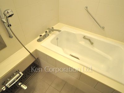 グリーンパーク赤坂の写真 バスルーム