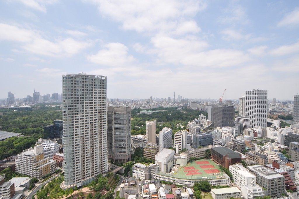 グリーンパーク赤坂の写真 眺望