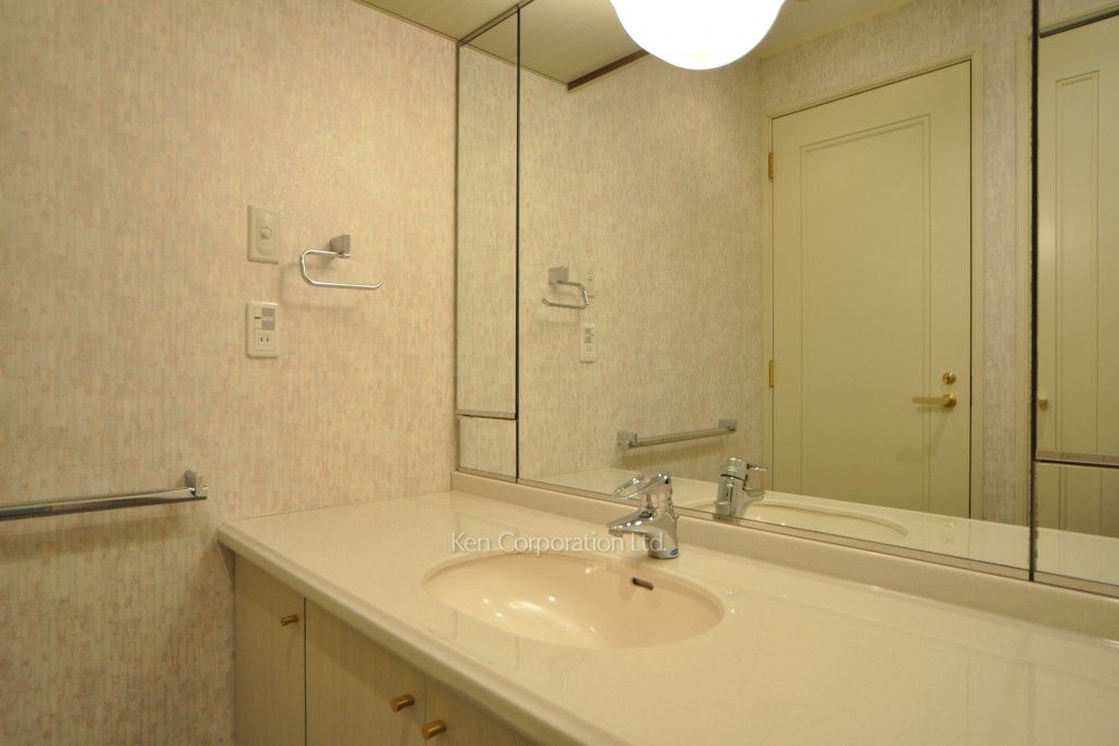 グリーンパーク赤坂の写真 パウダールーム