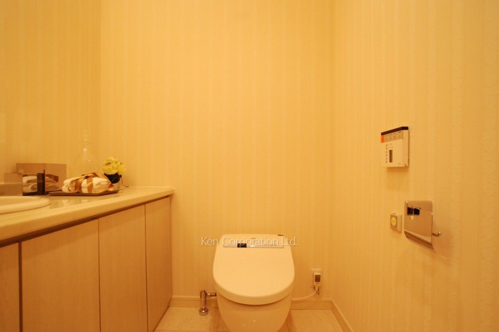 グリーンパーク赤坂の写真 トイレ