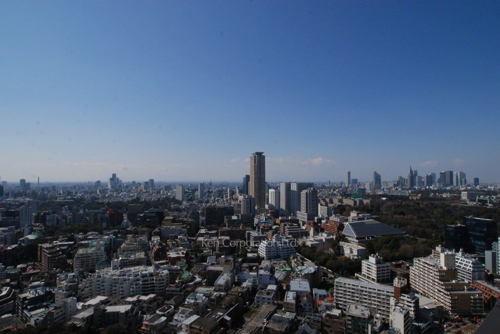 グリーンパーク赤坂の写真 眺望