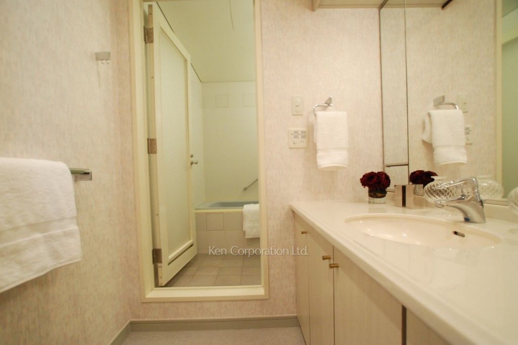 グリーンパーク赤坂の写真 パウダールーム