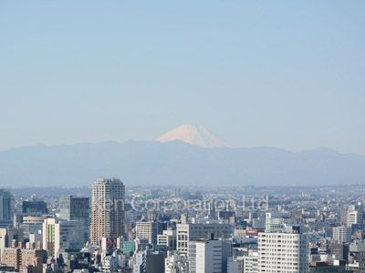 グリーンパーク赤坂の写真 眺望