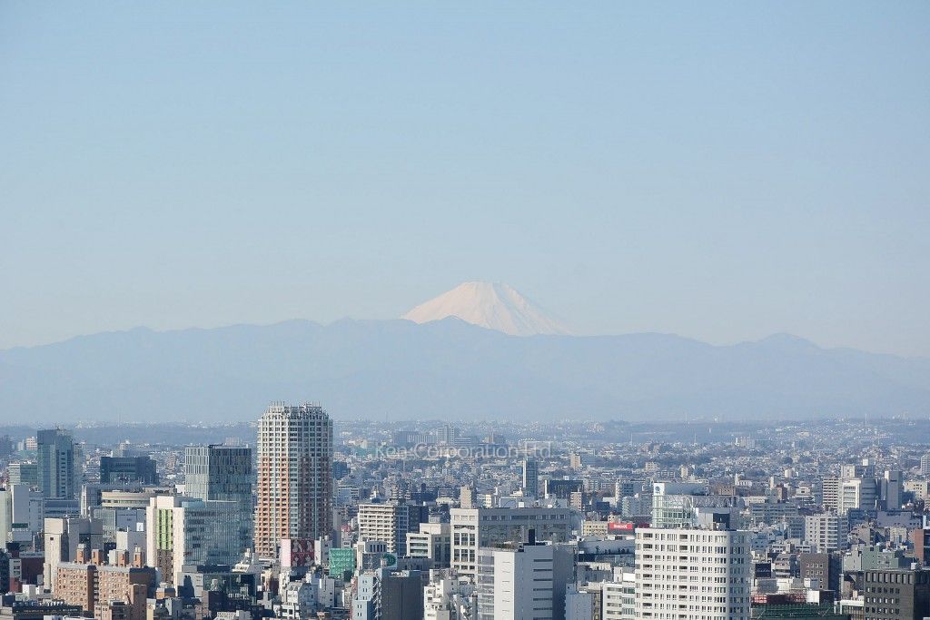 グリーンパーク赤坂の写真 眺望