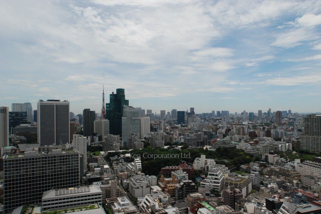 グリーンパーク赤坂の写真 眺望