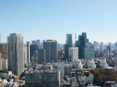 グリーンパーク赤坂の写真 眺望