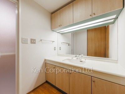 ディプロマット緑ヶ丘の写真 パウダールーム