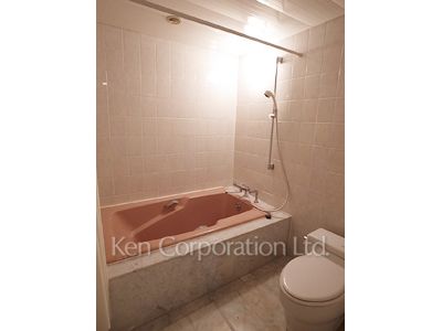 徳川山パーク・マンションの写真 バスルーム