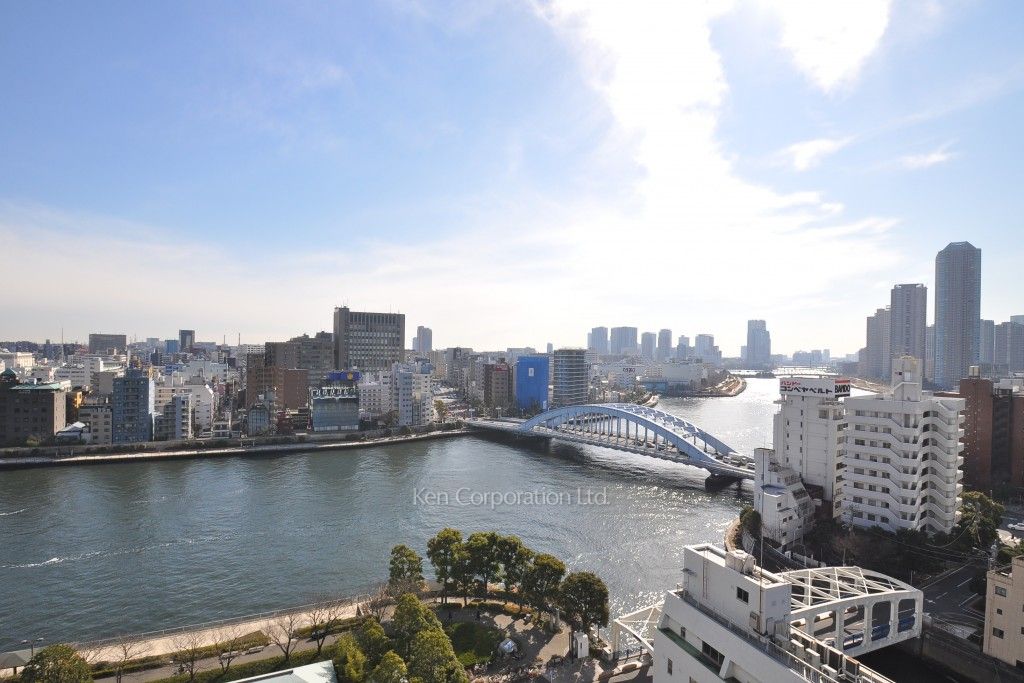 リバー&タワーの写真 眺望（居室から）
