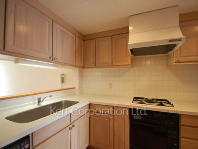 ガーデンテラス駒沢の写真 キッチン