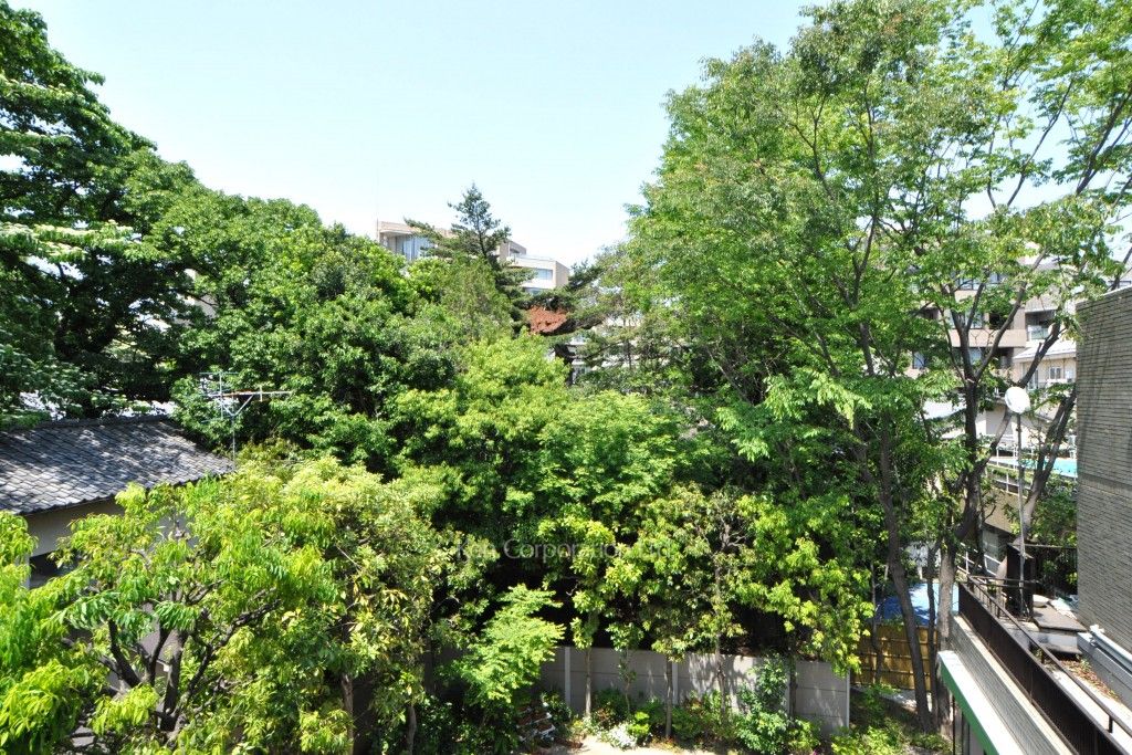 眺望（居室から）