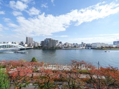 隅田リバーサイドタワーの写真 眺望（居室から）