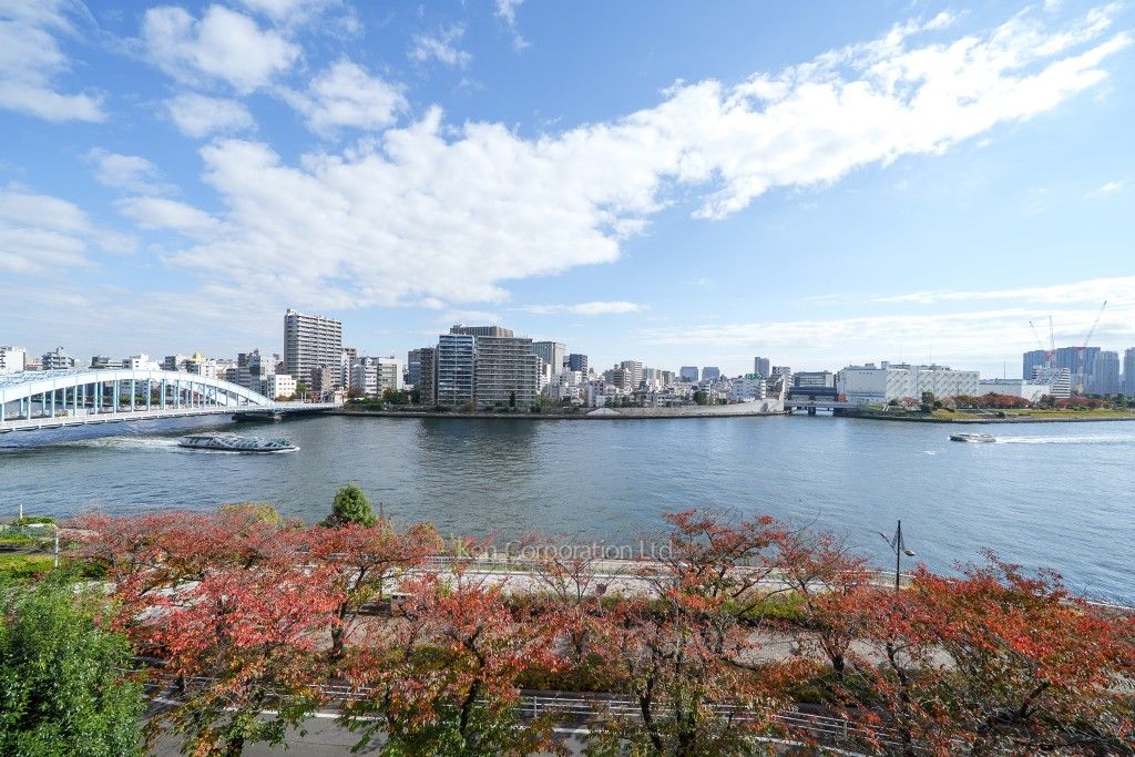 隅田リバーサイドタワーの写真 眺望（居室から）