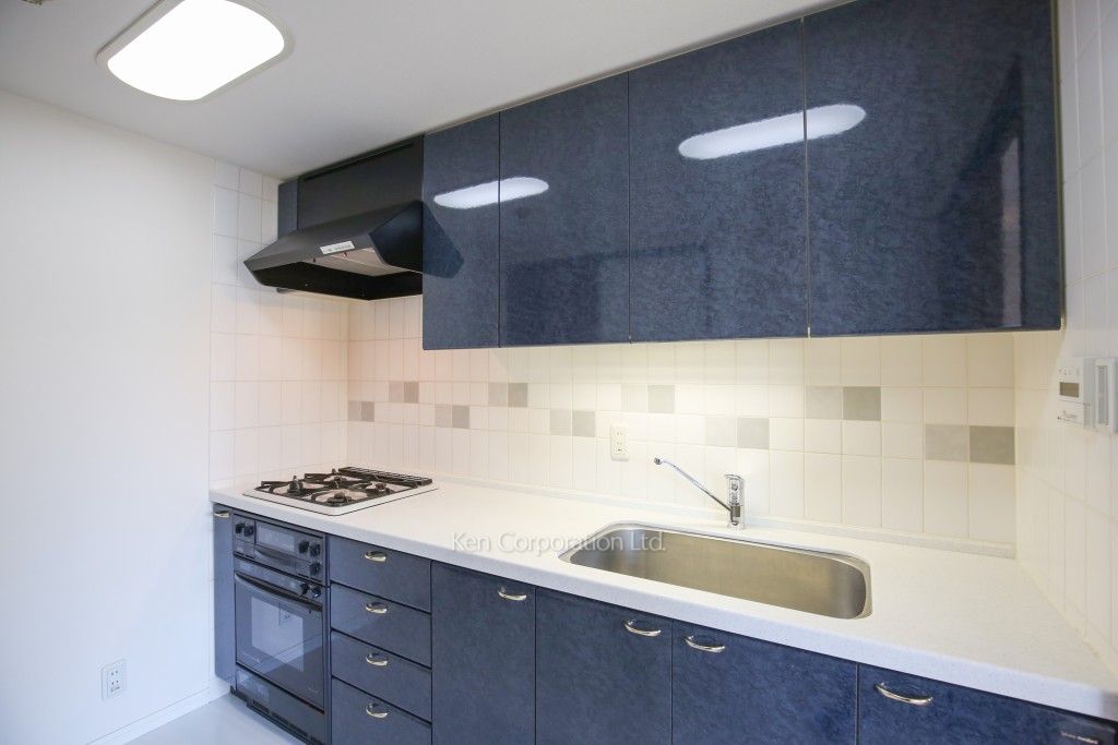 サヴァリン市ヶ谷の写真 キッチン