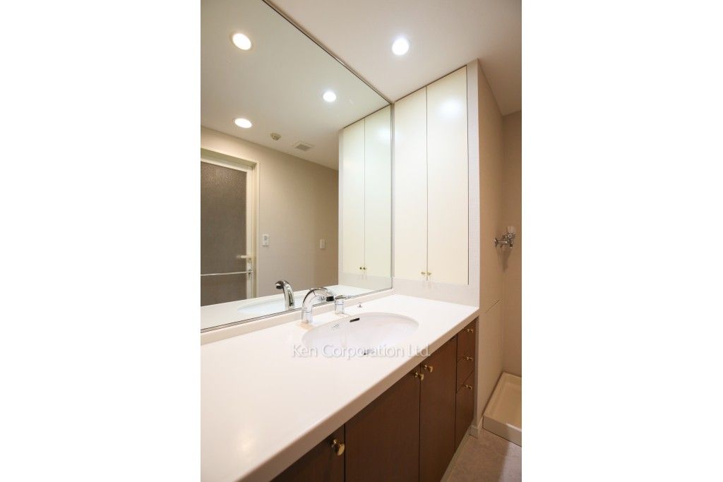 サヴァリン市ヶ谷の写真 パウダールーム