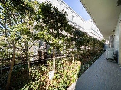 Aureole Gardensの写真 庭