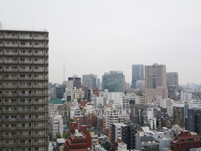 千代田ファーストハイツの写真 眺望