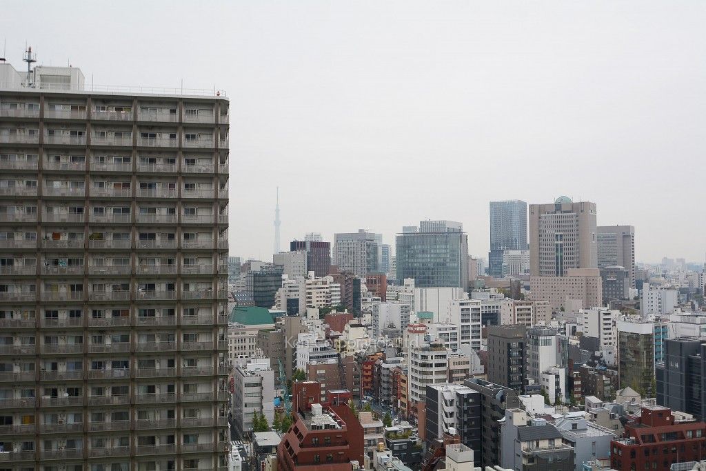 千代田ファーストハイツの写真 眺望