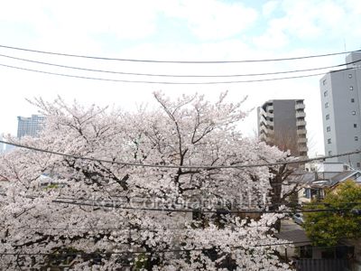 プラスパの写真 眺望