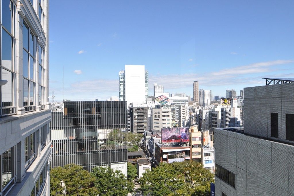 パラシオ青山の写真 眺望（居室から）