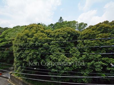 NK青山ホームズの写真 眺望