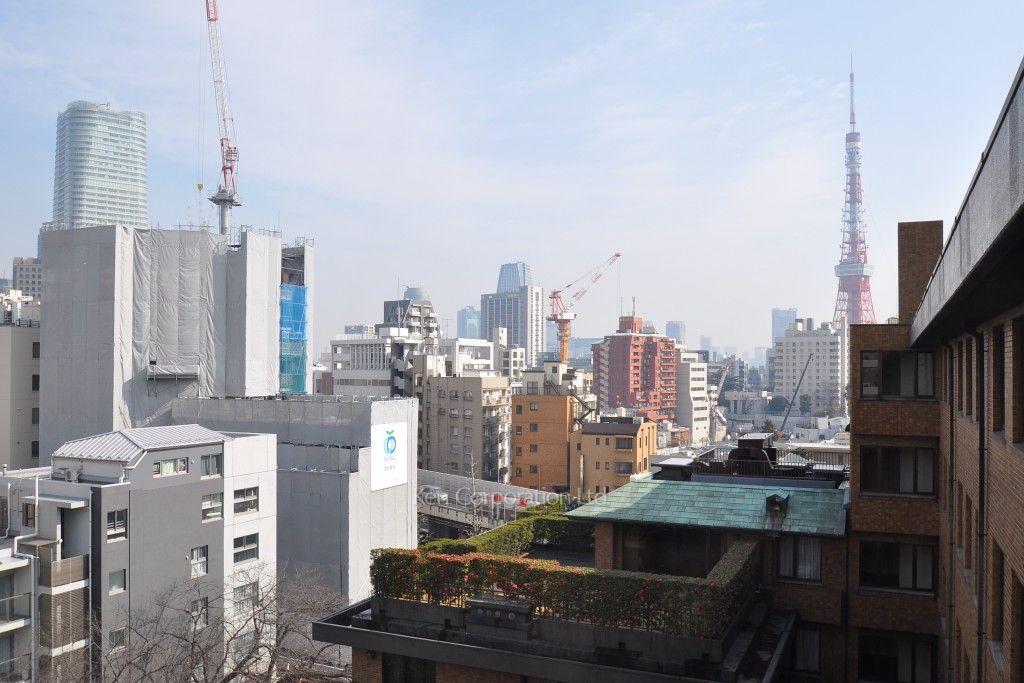 麻布テラスアパートメントの写真 眺望