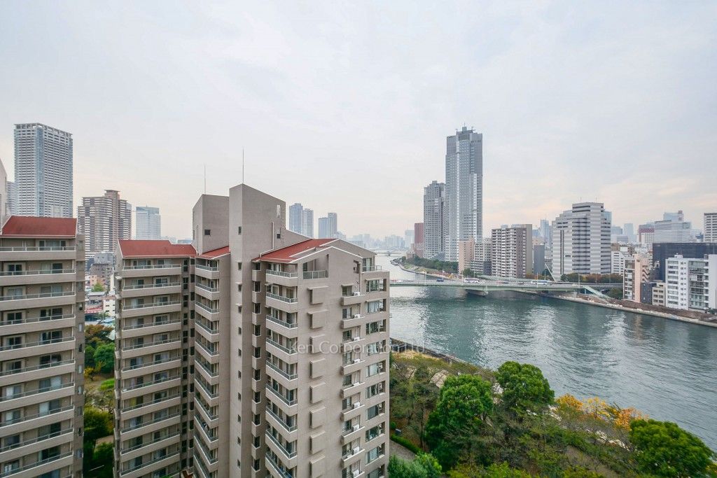 リバーポイントタワーの写真 眺望（居室から）