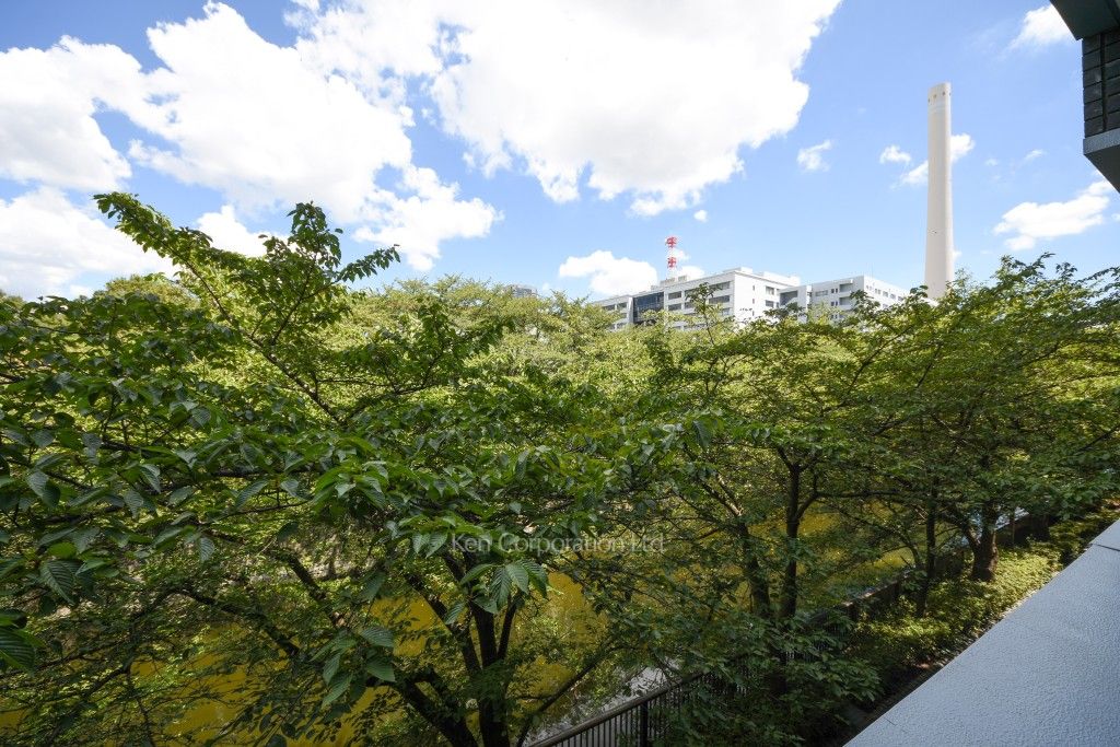 ハウス中目黒の写真 眺望（居室から）