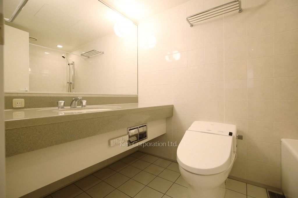 赤坂溜池タワーレジデンスの写真 パウダールーム