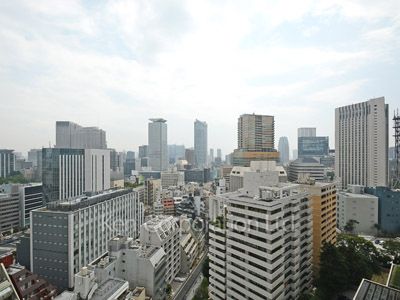 赤坂溜池タワーレジデンスの写真 眺望（居室から）
