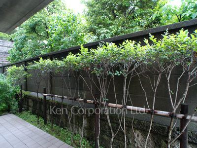 白金台プロヴィデンスの写真 バルコニー