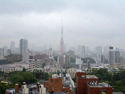 六本木ヒルズゲートタワーレジデンスの写真 眺望（居室から）