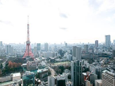 愛宕グリーンヒルズフォレストタワーの写真 眺望（居室から）