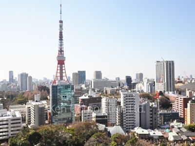 愛宕グリーンヒルズフォレストタワーの写真 眺望（居室から）
