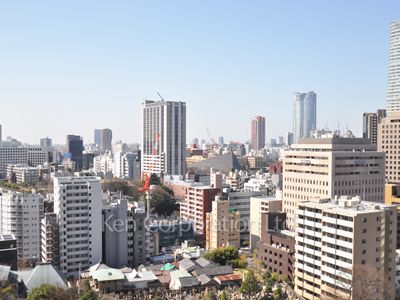 愛宕グリーンヒルズフォレストタワーの写真 眺望（居室から）
