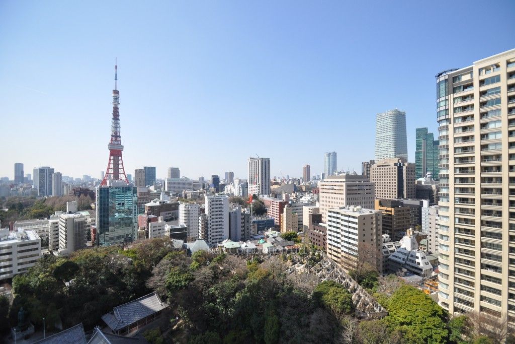 愛宕グリーンヒルズフォレストタワーの写真 眺望（居室から）