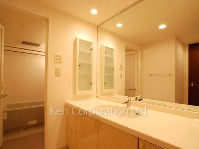 パークアクシス四谷ステージの写真 パウダールーム ※10階の同じ間取タイプを撮影。仕様が異なることがあります。