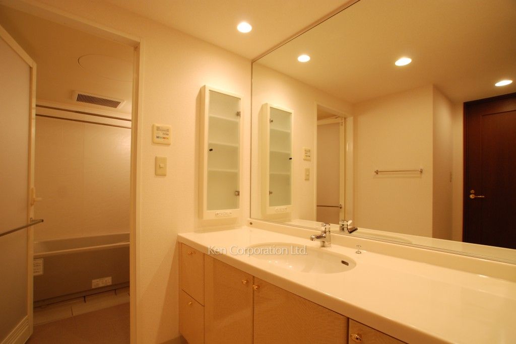 パークアクシス四谷ステージの写真 パウダールーム ※10階の同じ間取タイプを撮影。仕様が異なることがあります。