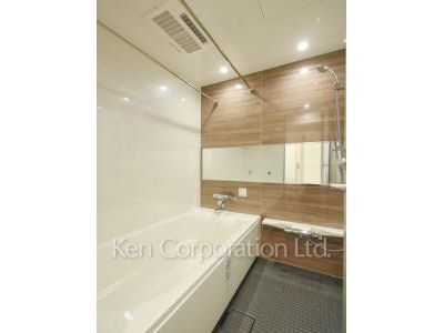 カスタリア西麻布霞町の写真 バスルーム