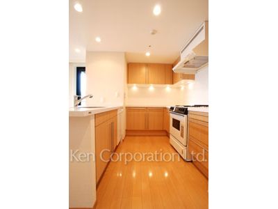 泉ガーデンレジデンスの写真 キッチン