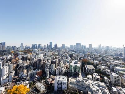 元麻布ヒルズ フォレストタワーの写真 眺望（居室から）